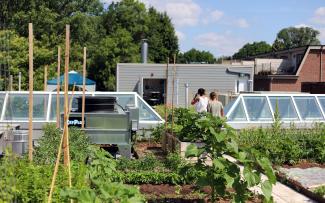 Urban farming is absolutely possible on roofs in the middle of a densely built-up area. © Avling Vegetable garden on a roof surrounded by buildings